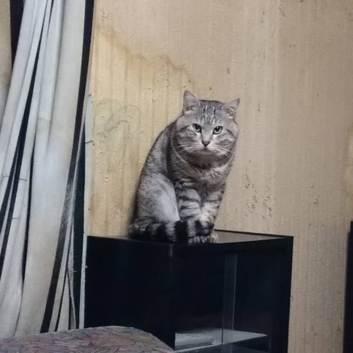 B1852364 1959 4ba5 a93e b8532b5424f4 1675736181315