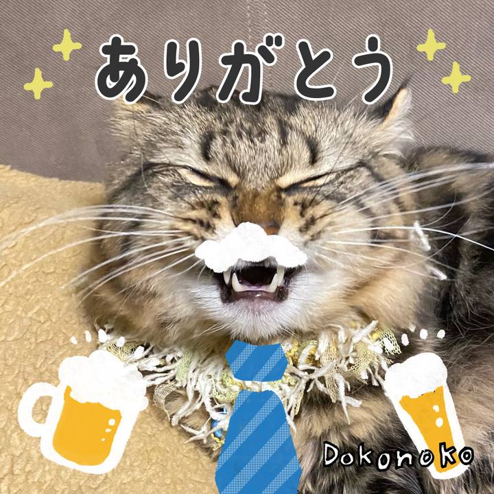 B1855460 609e 4f85 ab14 ed69deacaa7e 1717998956840