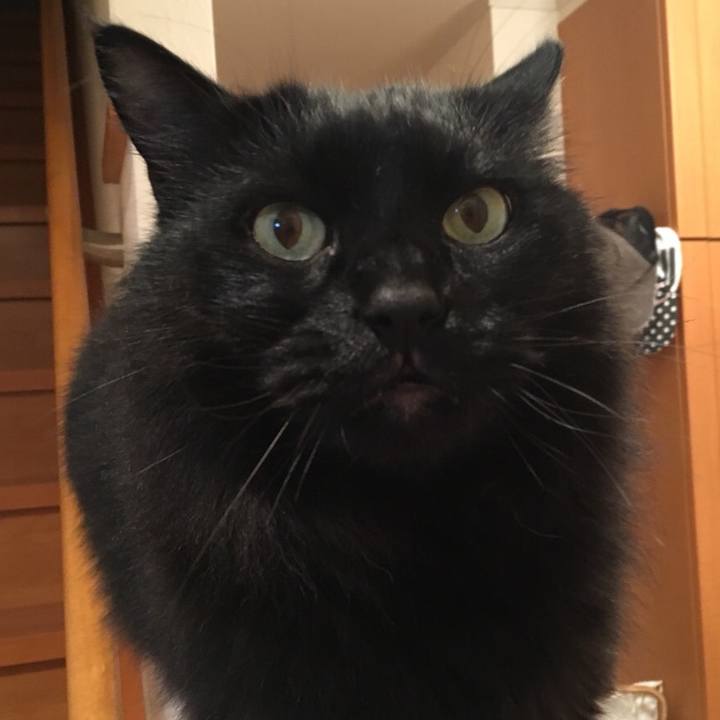 B185767e c95b 42dd b6d1 c3eba5d4c1cc 1542542965758