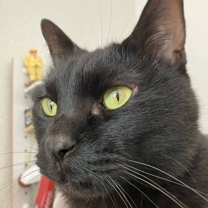 B18583da c4cc 4ecd b3ed a00e0c149dba 1774751164907