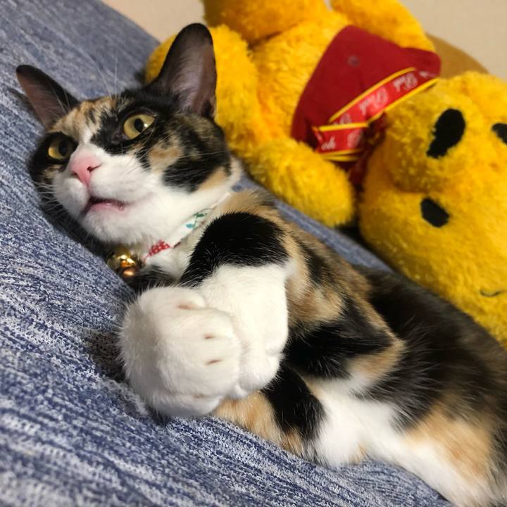 B1858748 07e7 4d10 8eac ec62d3859b7d 1568284138145