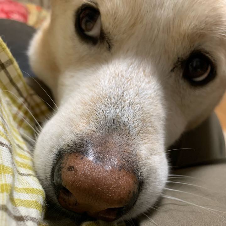 B185b100 c767 45bf 986c 9e1859a3e0bd 1654944610470