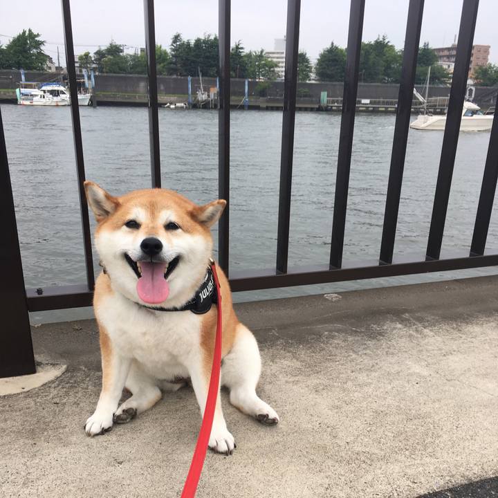 B185c549 2b1d 4469 b408 c3573e57f906 1593245462271