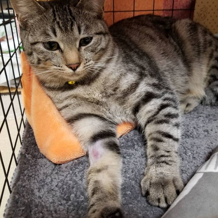 B18605c9 fff0 4741 9918 6db21c3753b8 1675161656368