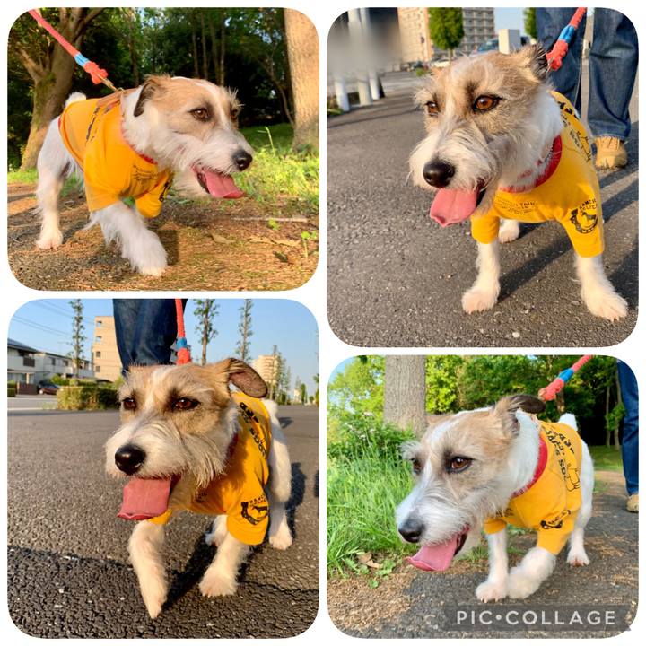 B1862079 1097 424c b800 7f80a712fd2c 1651665136338