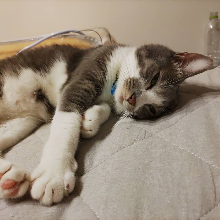 B186291c 7840 423f b7bc 660cf37afaa1 1693741065812