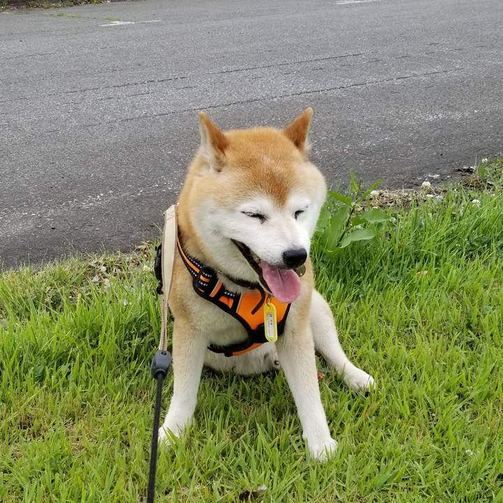 B1864e83 e9f5 42e8 ae52 42b4baa51495 1656314744901