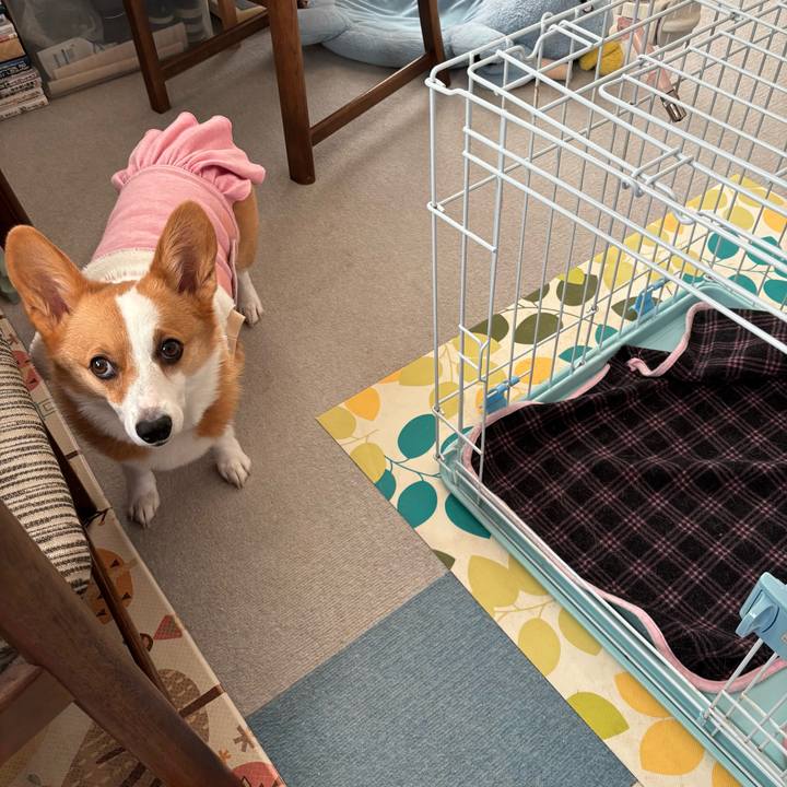 B186fe07 c557 493b bcb2 967d3b416ebf 1766732213346