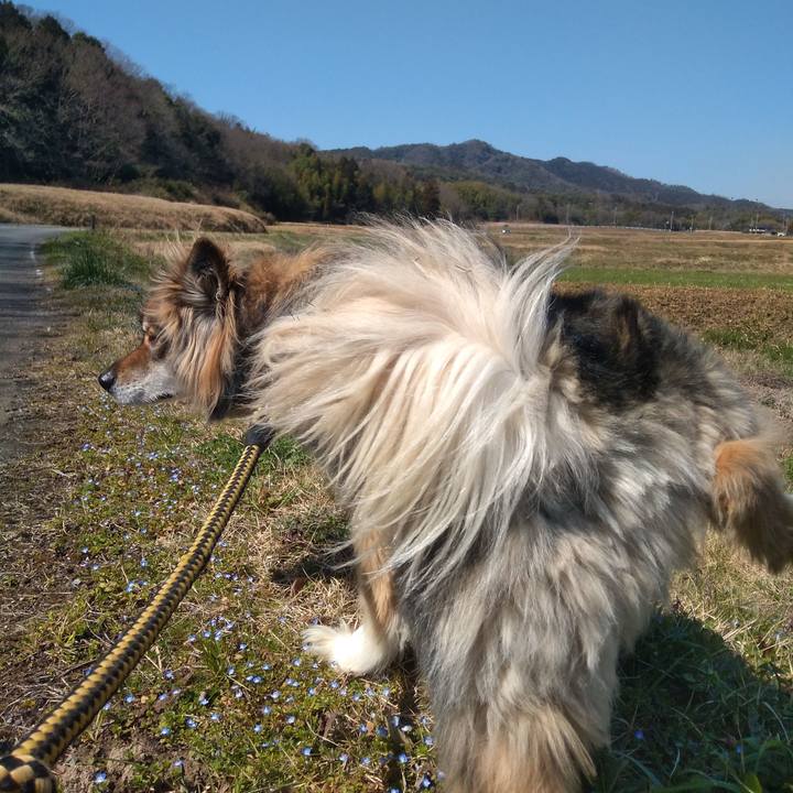 B187180a a300 4034 b0ec 3f771abee4cd 1584762826888