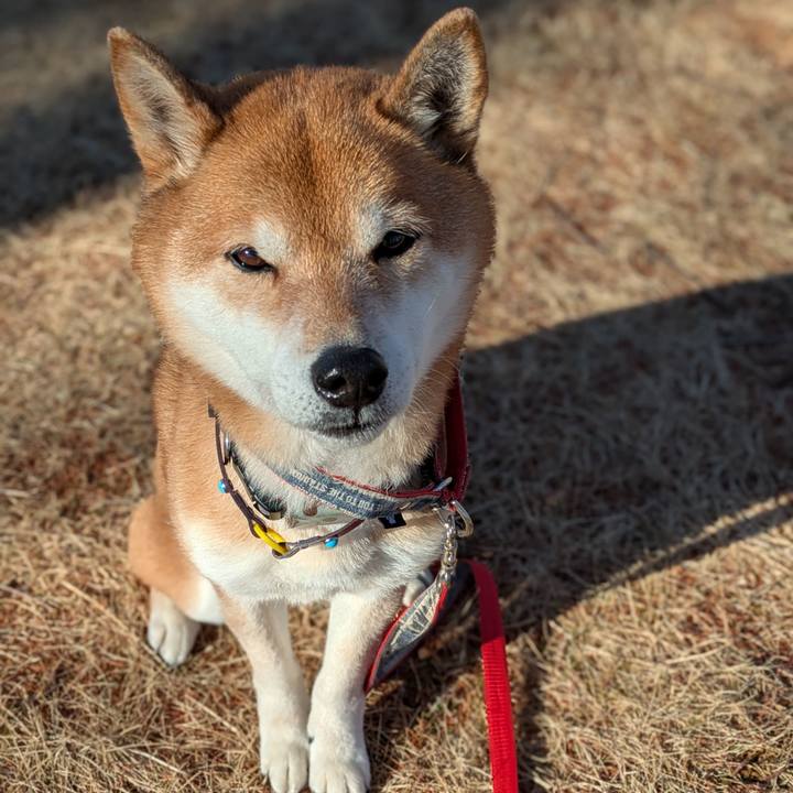 B1878c26 4079 4ada 93dd fe92b05b27ff 1739289401038