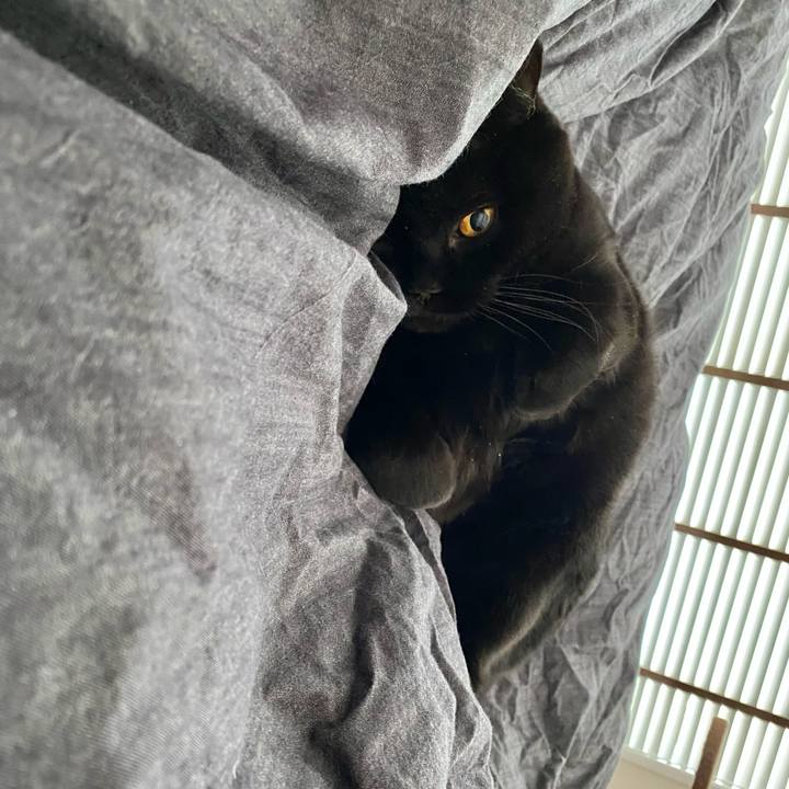 B187a3a7 0be8 4a58 a2fa 140a83787abf 1739661790027