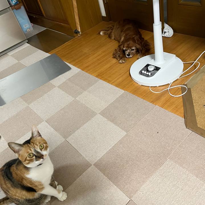 B187b27e 4f55 4487 b69e 22f6d7908195 1751322077070