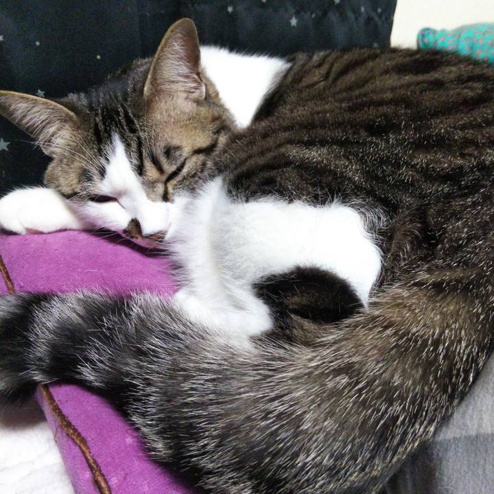 B187d6ef 08cb 4c86 9785 d7964d9097d0 1647867347909