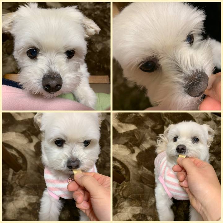 B187d8f4 c89d 40e0 a01b b6ec1d15828a 1644133350825