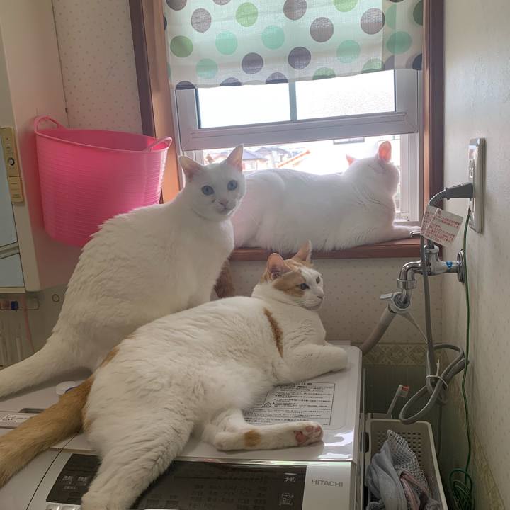 B1880abf 3d1a 405d 9aa5 37162d6c44a6 1632008508182