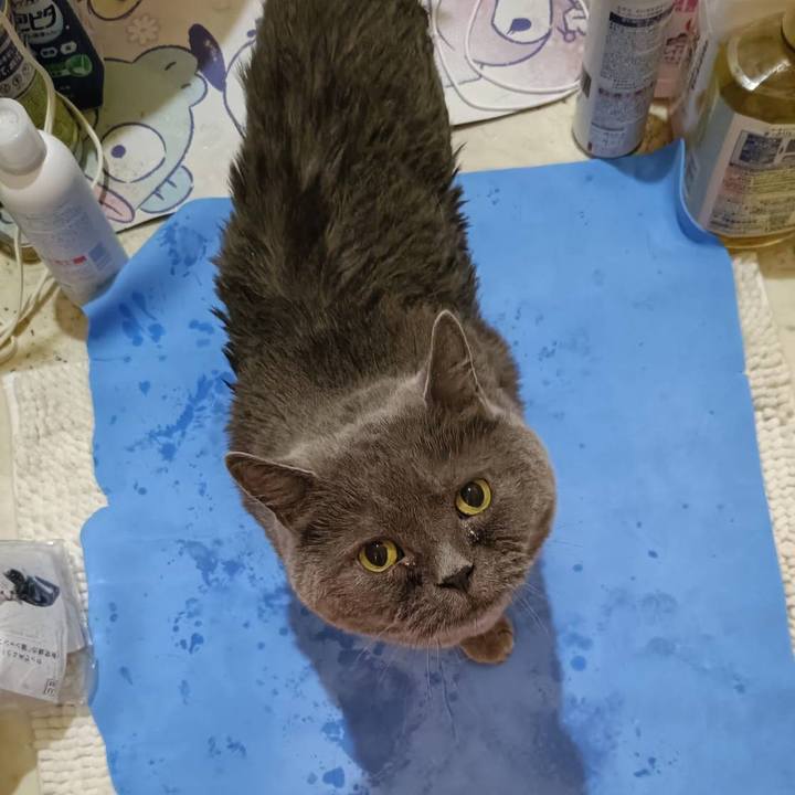 B18827f6 1d72 465d 8bc3 2a5d12375ec3 1755571665331