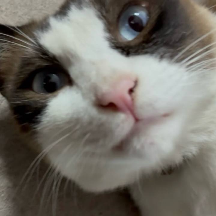 B1884446 0be7 4faf bdf1 7f6af3a41100 1754272775355