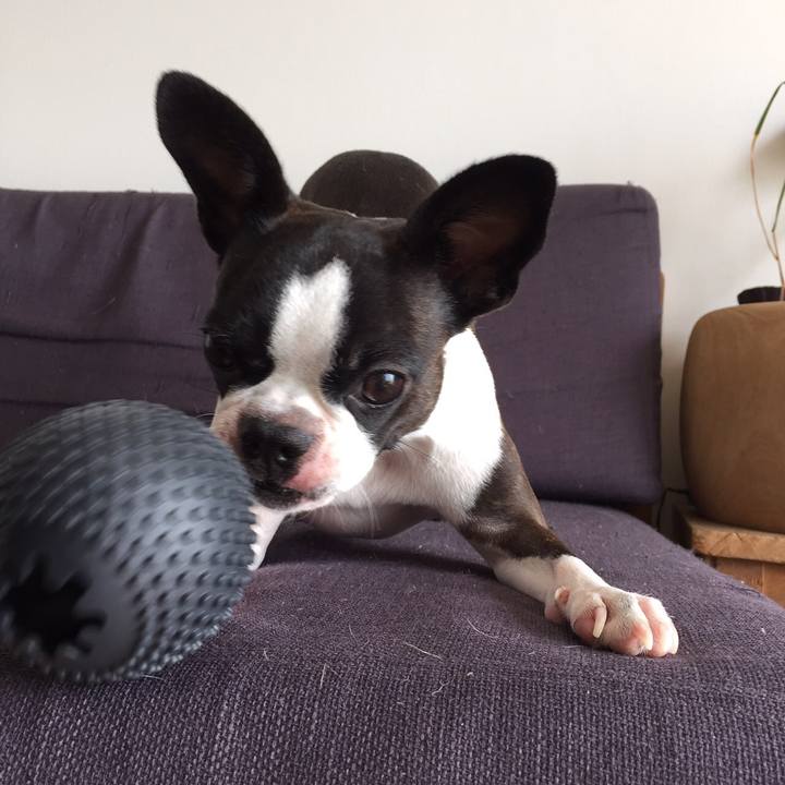 B18861eb ad8f 4881 92d3 276cdcca5823 1540786699243