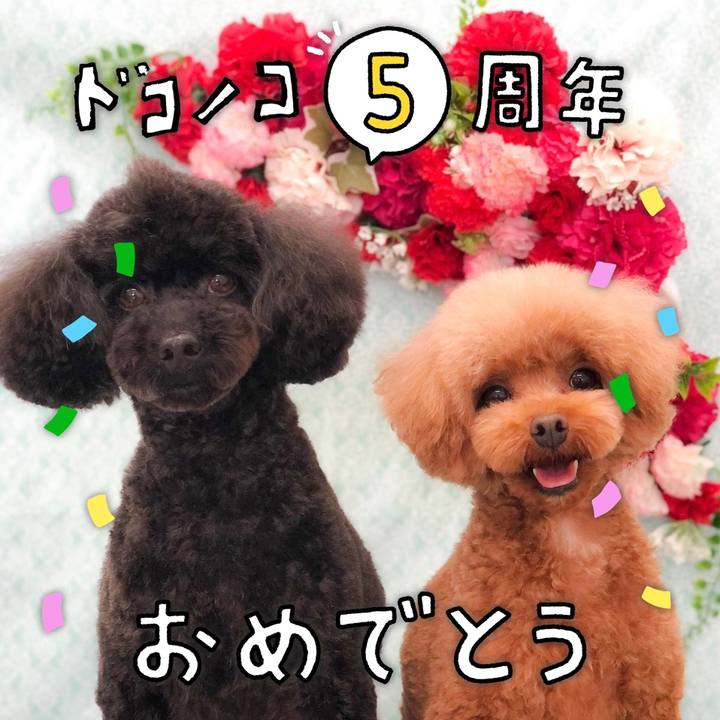 B1886812 c8de 406a a05e c680935c5560 1622895331534