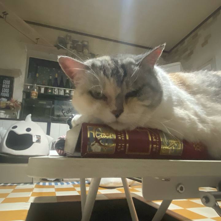 B18889dc bcee 4c5d 9ee1 de7bfb324f1d 1750259408183