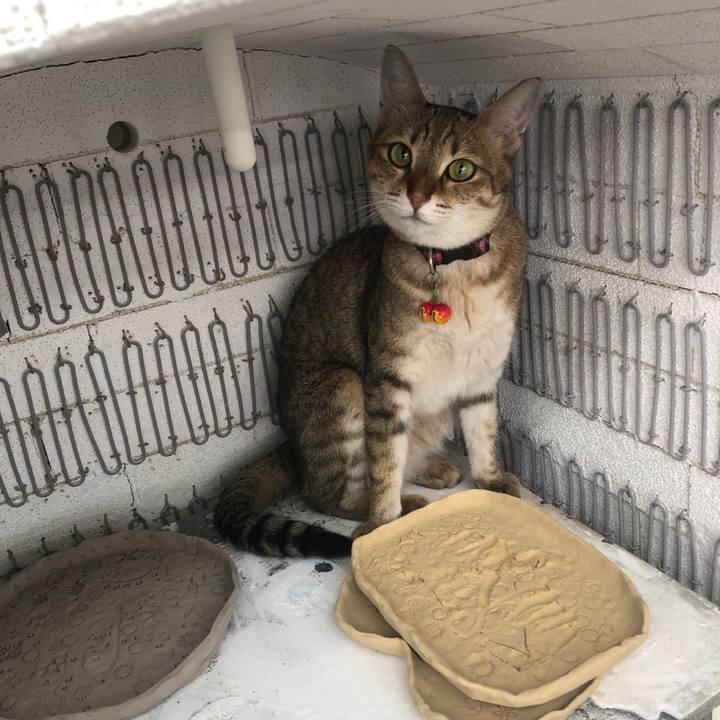 B1888a4b 24a3 4834 b310 5b72d37bb992 1661738213168