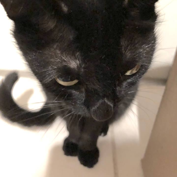 B1889162 1734 4838 9b7e 2bcf9161831c 1541256129519