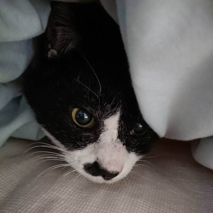 B1889c90 dd79 415e 9fc5 9863d3c373e0 1674775393243