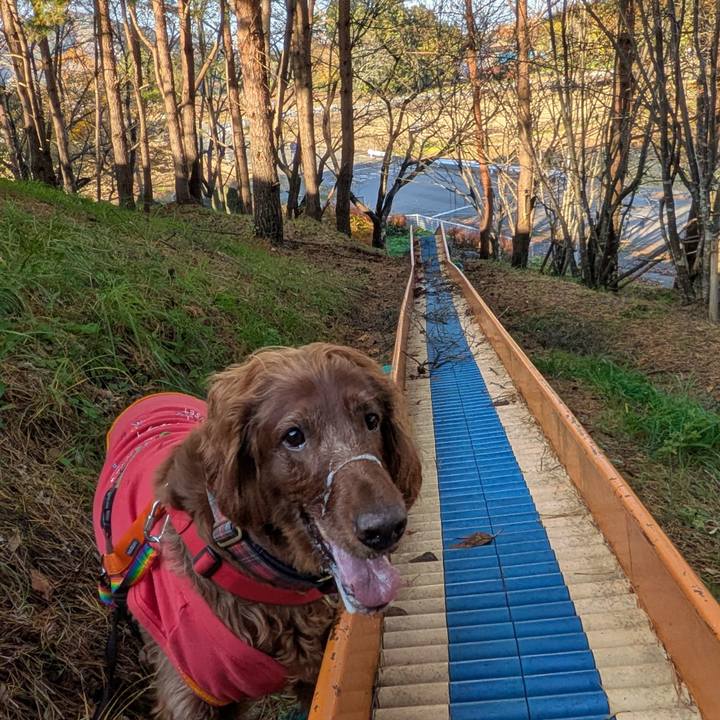 B188a936 f5da 4390 ab85 b883a6766a72 1762328936256