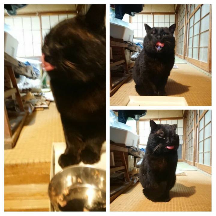 B1891d66 f8fa 4e8e 9175 71fa30e351ab 1616065021526