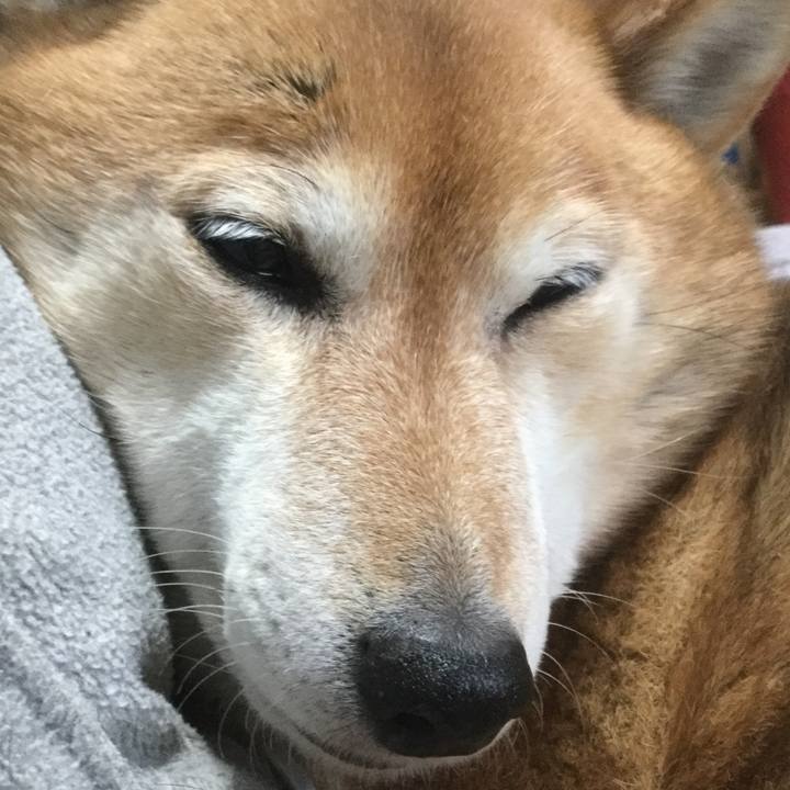 B1892198 a62f 4611 87be 0ca575557e94 1613947693025