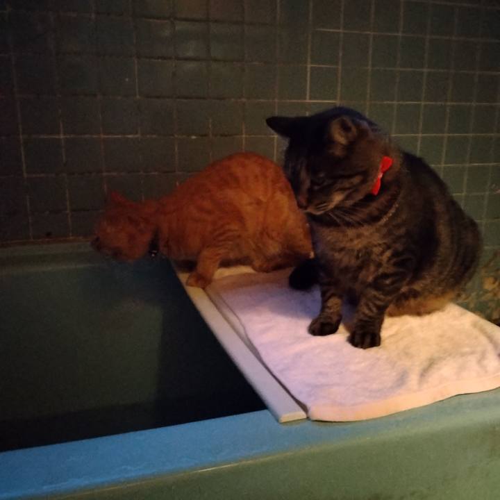 B1893da1 2946 42a1 86fc 3d1f04315d72 1664613620680