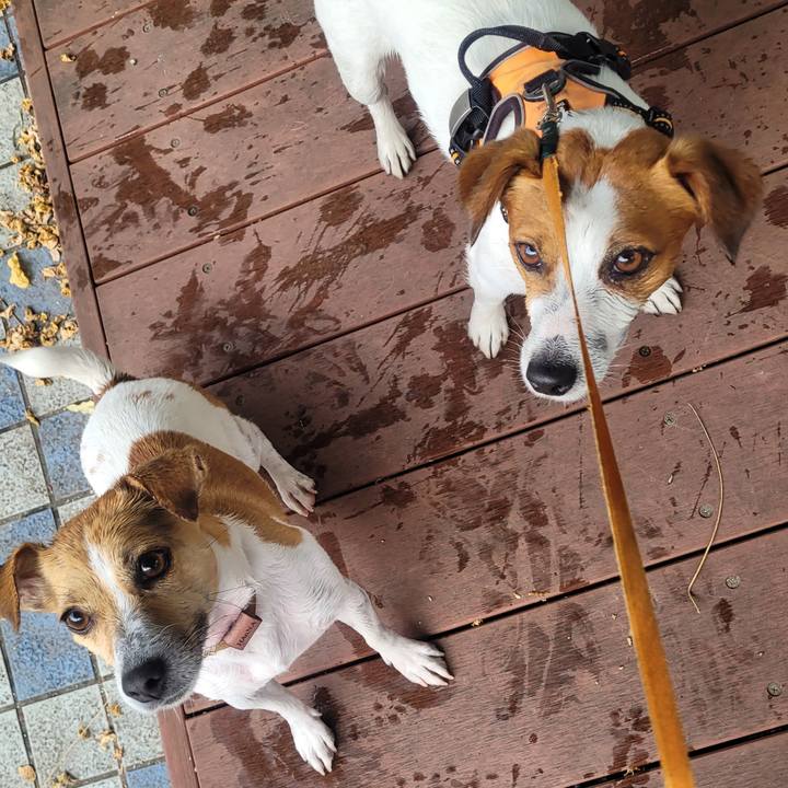 B18959f6 94f7 49bf b645 a3aed69a1d05 1687342452660