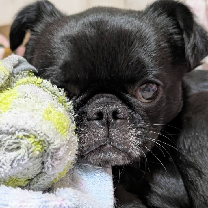 B189af47 957f 4ac1 a0c8 39de85f1491b 1772974086229