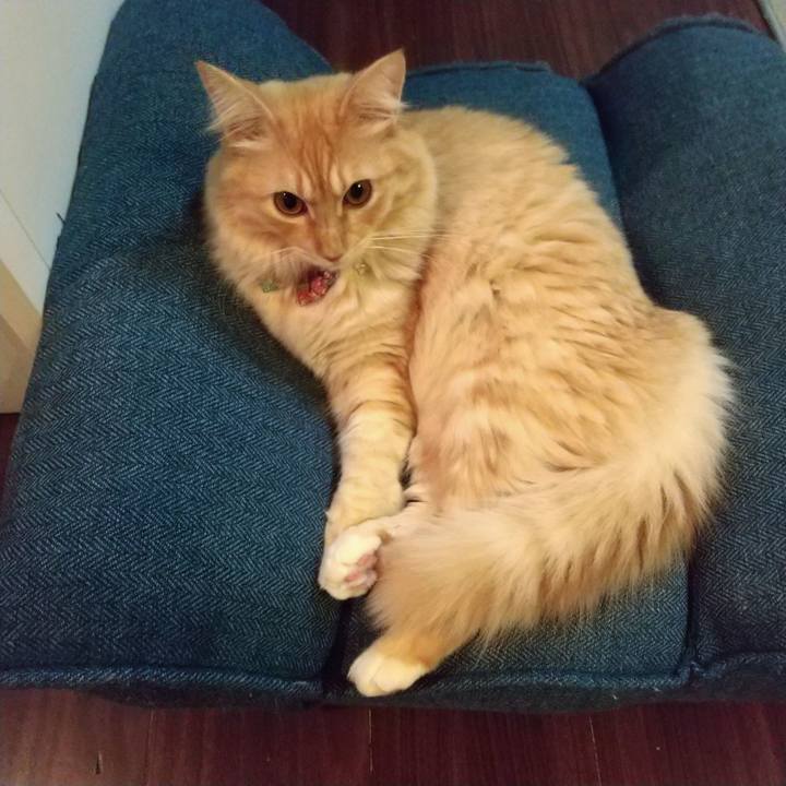 B189c3a2 0b5b 4bc3 a73f 8aeb00869a34 1634736363622