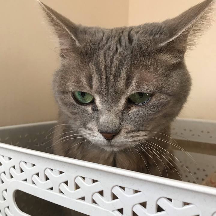 B189d37e b883 483b a17e 049c9ac65de7 1570237907810