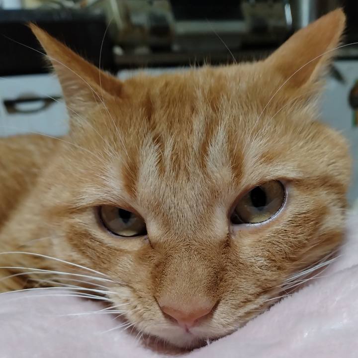 B189e060 5293 4dd5 93c9 1afc7eec12d6 1701508417527