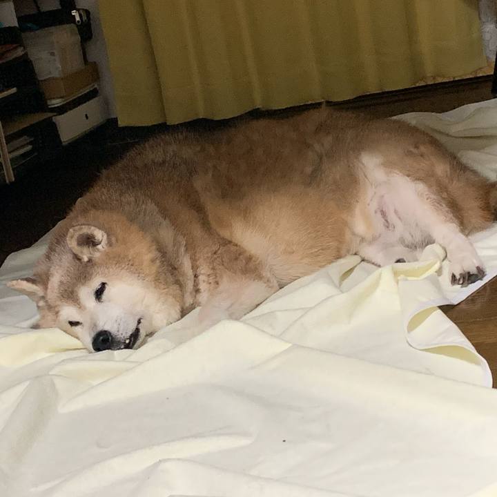 B189f631 a46d 4e8b 9fc7 017f96610651 1656848019247