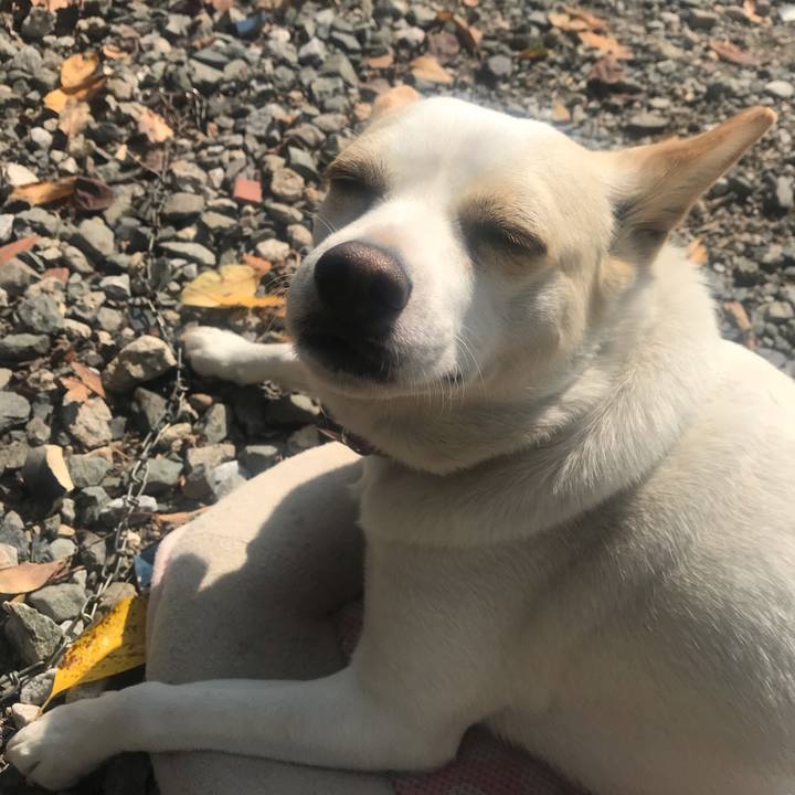 B18a5767 1a78 4b7a 846d cbe5e3655d99 1575692531609