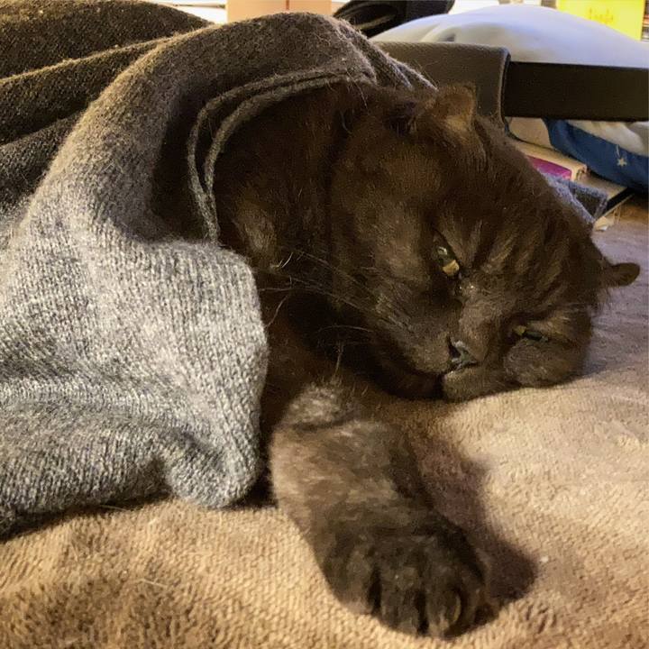 B18ab01e 3682 4b8c 94d8 a2c1a8b34317 1640005257404