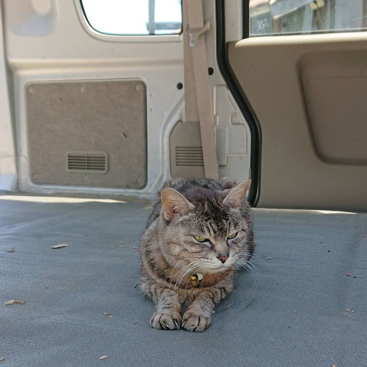 B18ab9f0 aa3b 429d 8bd3 e69730cc1128 1557632556626