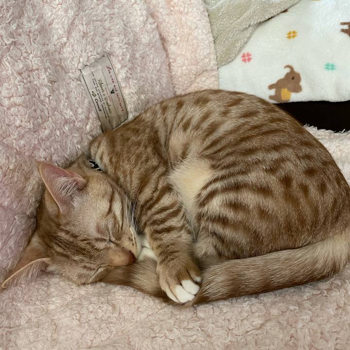 B18ae5b5 9bba 4ed7 824e 003323f2c6df 1645320927963