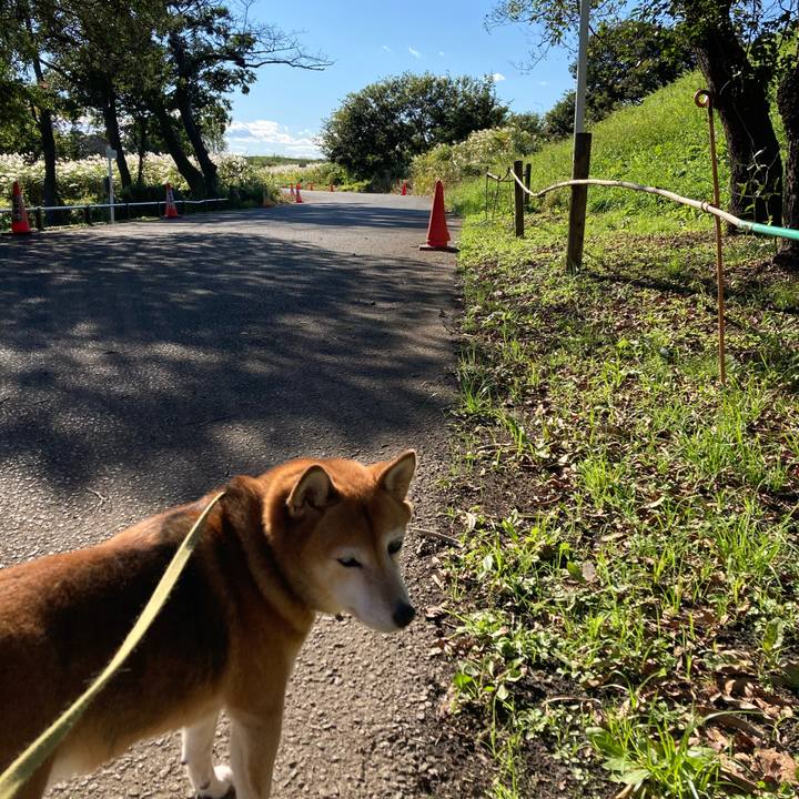 B18af32d 5ecb 4d87 8616 6dbaa7389ef0 1634969722382