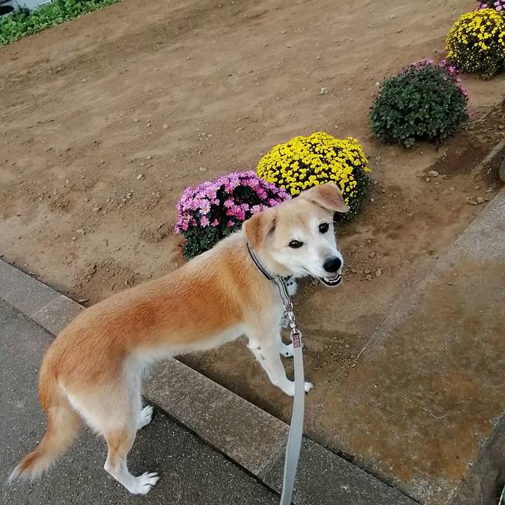 B18b94ca 0958 40b6 9a48 d99eaeece41b 1603771130163