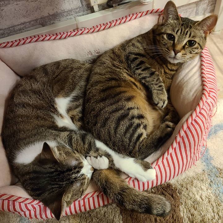 B18baa35 1fce 45f3 baaf ef6a37404d9c 1644067942332