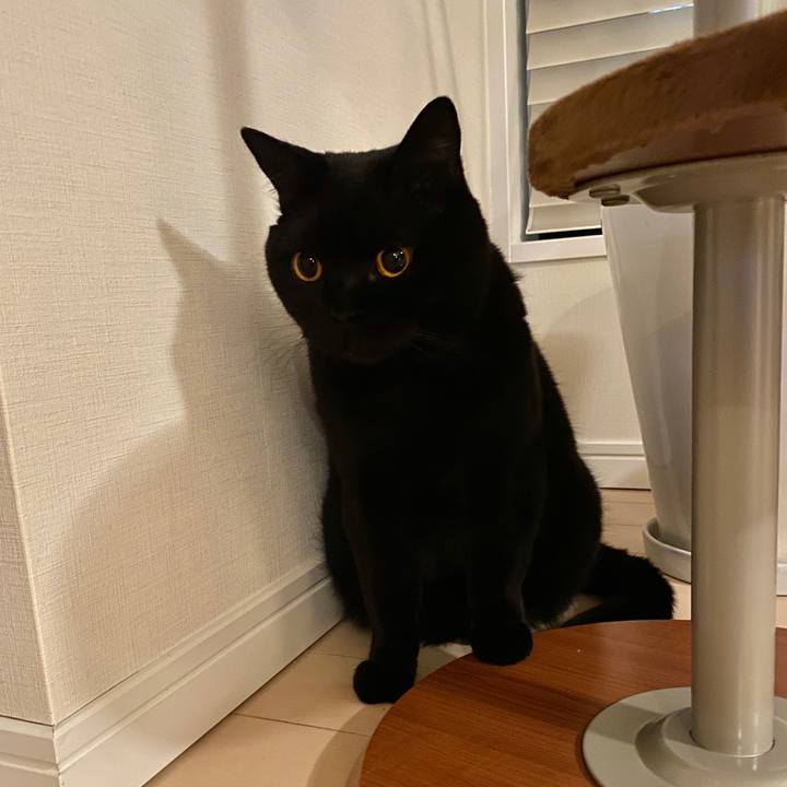 B18bb4c1 1a28 4c29 8e4d dc8ee3b19a5a 1603884571418