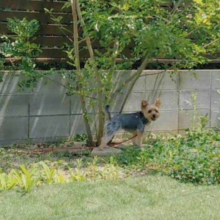 B18bb632 4fe5 4cd2 94ea dbea14b7a430 1658637826385