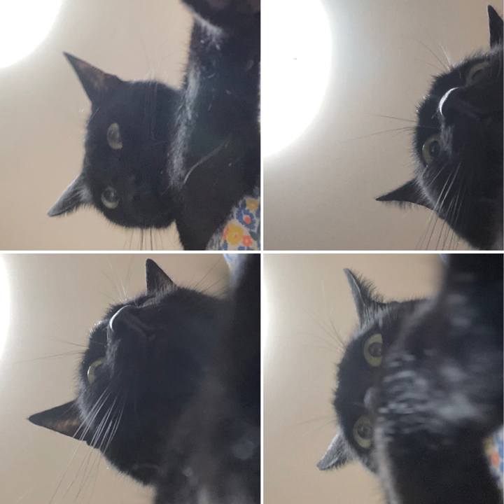 B18bea29 1bba 494b 8794 d4cf6675d261 1625357425978