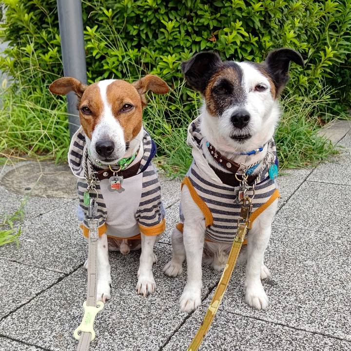 B18c3fc5 0add 4dd8 bf79 adb8353b6a5c 1659736269101