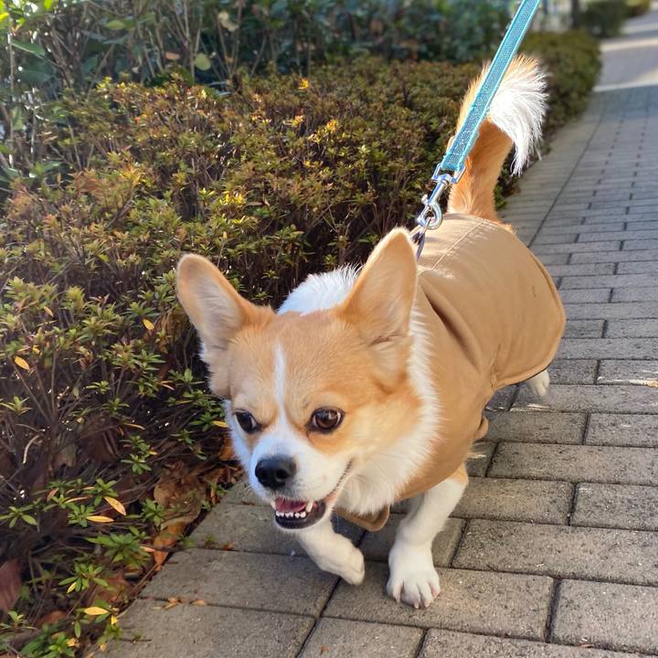 B18c4fbe f0a8 4eed 8971 7b4ce0c03e2b 1609591529173