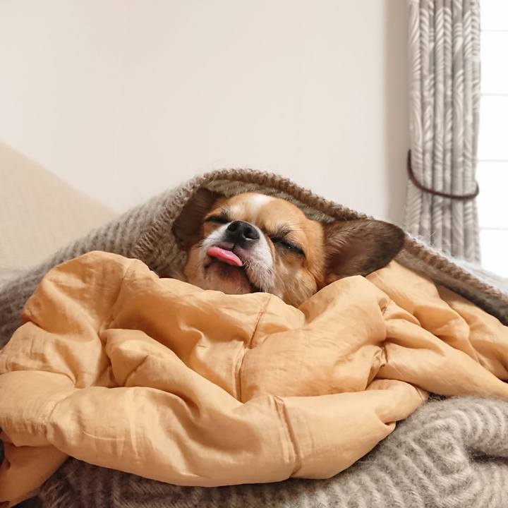 B18cdf49 1df0 4aa8 866c 15184ee40589 1602144935843